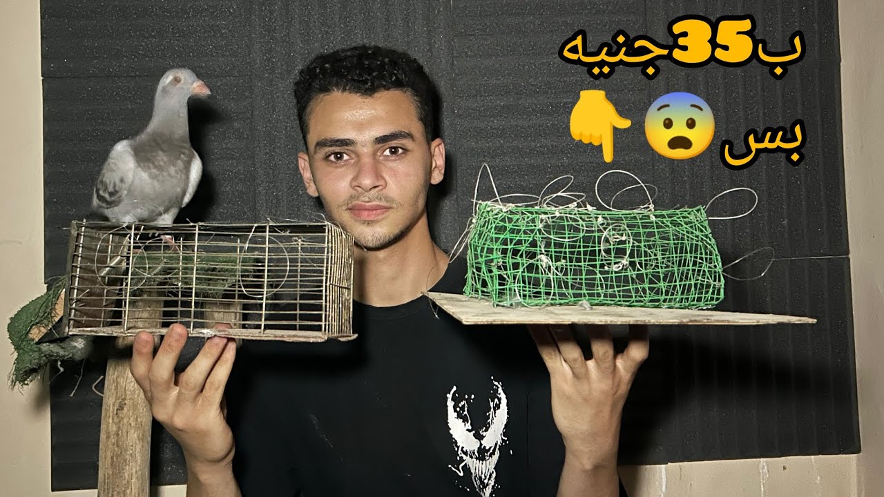 طريقة عمل مصيدة صقور احترافية بخطوة بسيطة جداً  مش هتكلفك غير35جنيه! أسهل طريقة لصيد الصقور بذكاء 😱🦅