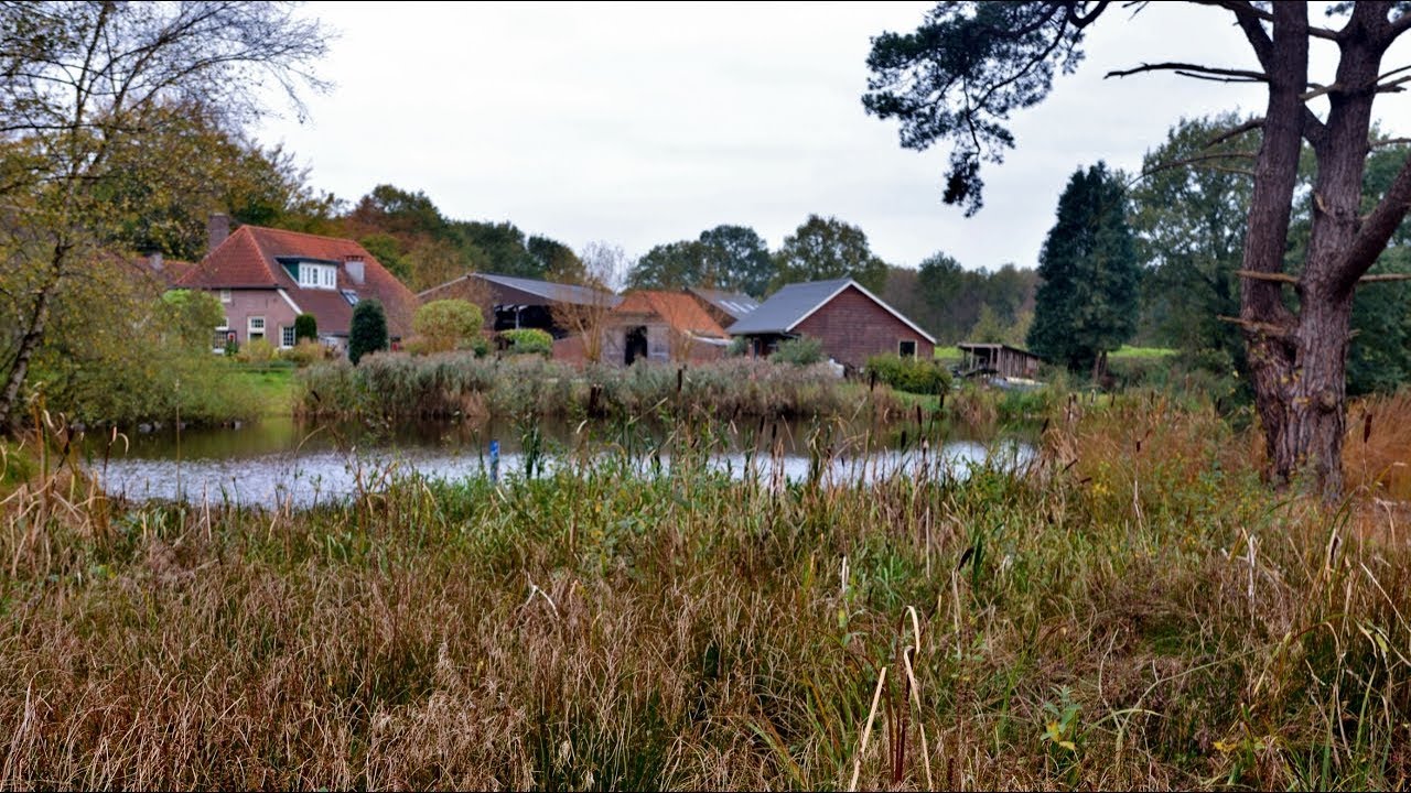 Hiking Holland - 'Achterhoek' region, Southwest of Ruurlo [Oct. 27, 2017]