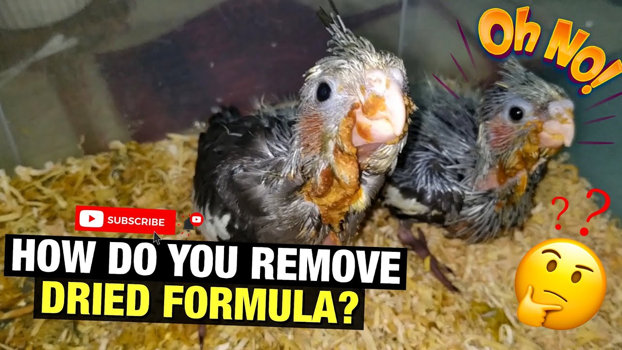 HOW DO YOU REMOVE DRIED FORMULA?