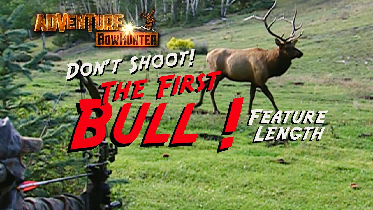 Crazy Elk Rut....  Don't shoot the first bull!