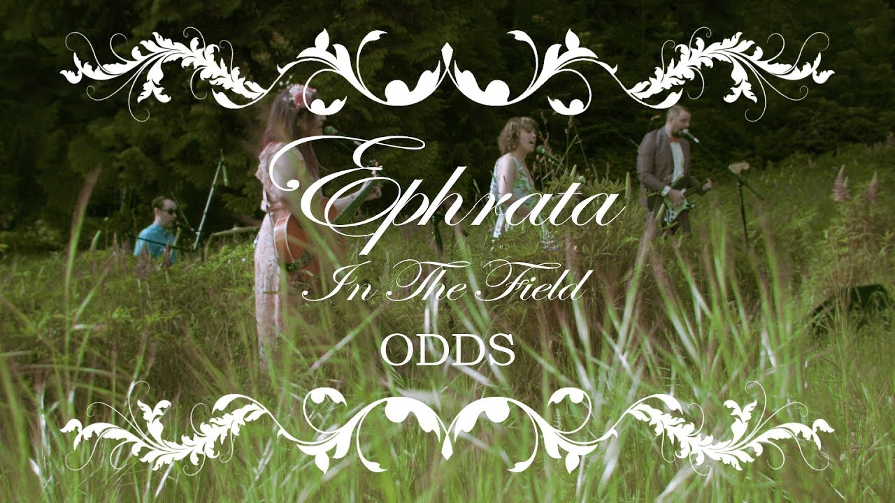 EPHRATA - In The Field - Odds
