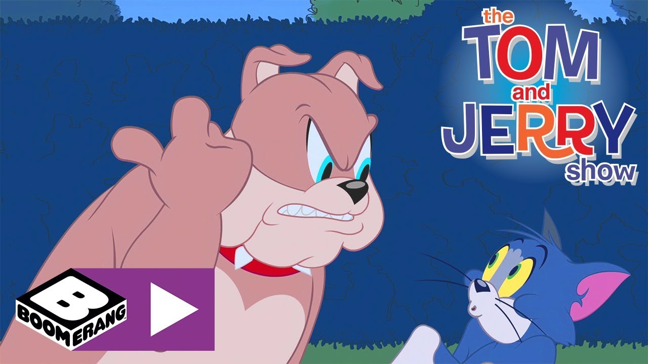 Tom und Jerry | Die Entschuldigung | Cartoonito