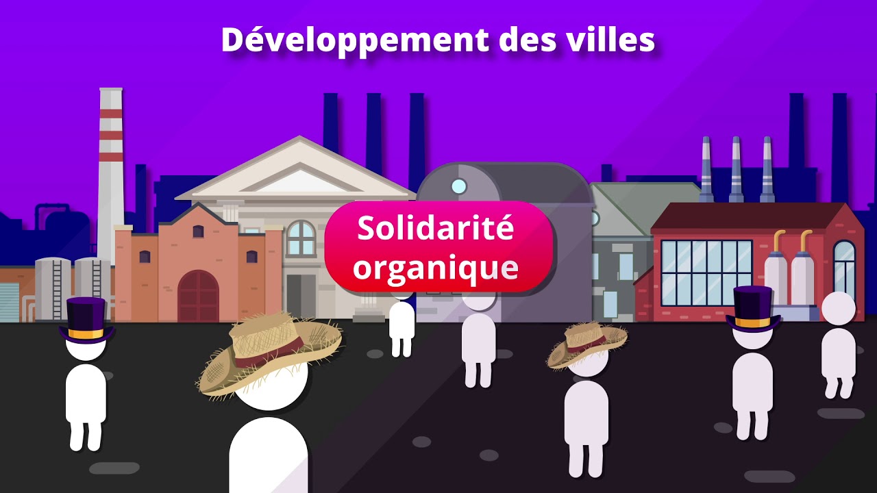 Comment se construisent et évoluent les liens sociaux ? (SES 1re)