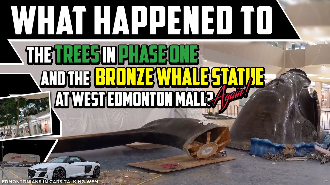 West Edmonton Mall Moved the Bronze Whale, Again! - A New Home for Open Sea -  Best Edmonton Mall