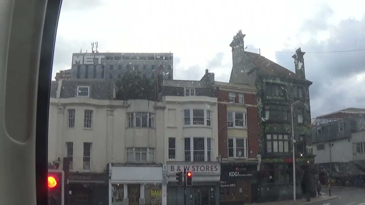 Foxy having a ride on Brighton and Hove bus route 28 going from Hellingly to Brighton 25/08/2024 pt4