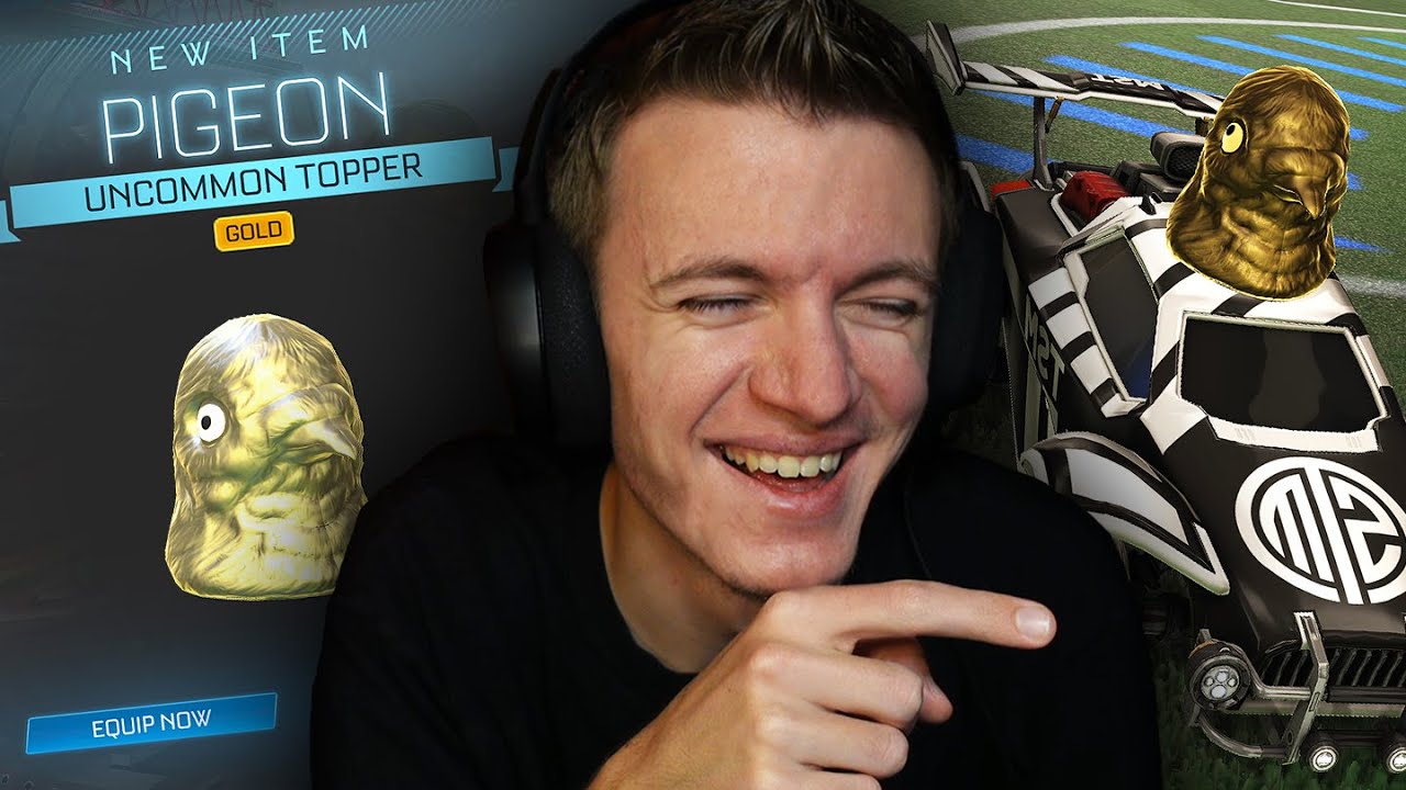 NEW *GOLD* PIGEON TOPPER IN ROCKET LEAGUE!