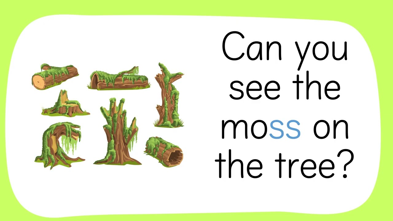 FF SS ZZ LL   Phonics Video