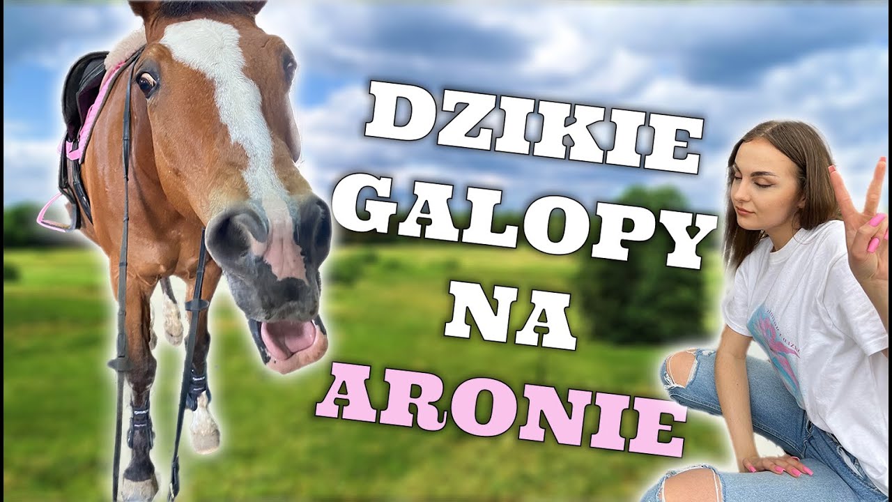 JEDZIEMY W TEREN