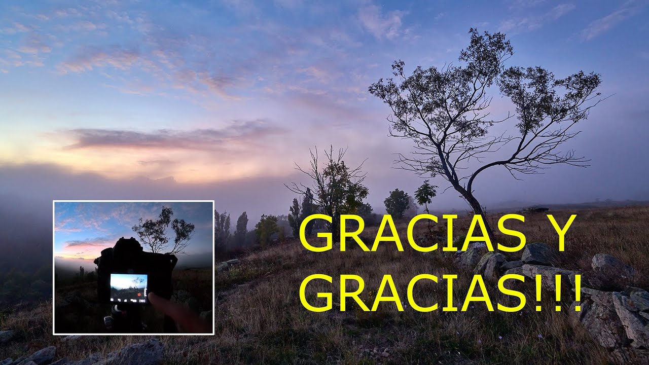 Las NIEBLAS de ATARDECER también en EXISTEN