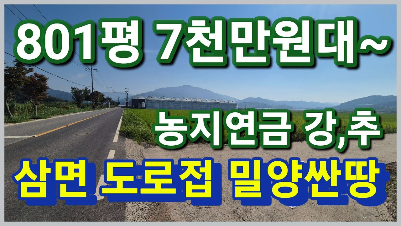 [낙찰]밀양시 초동면 7천만원대 801평 삼면을 도로 접한 농지연금으로 멋진 밀양토지 밀양싼땅 경매로 가져가세요