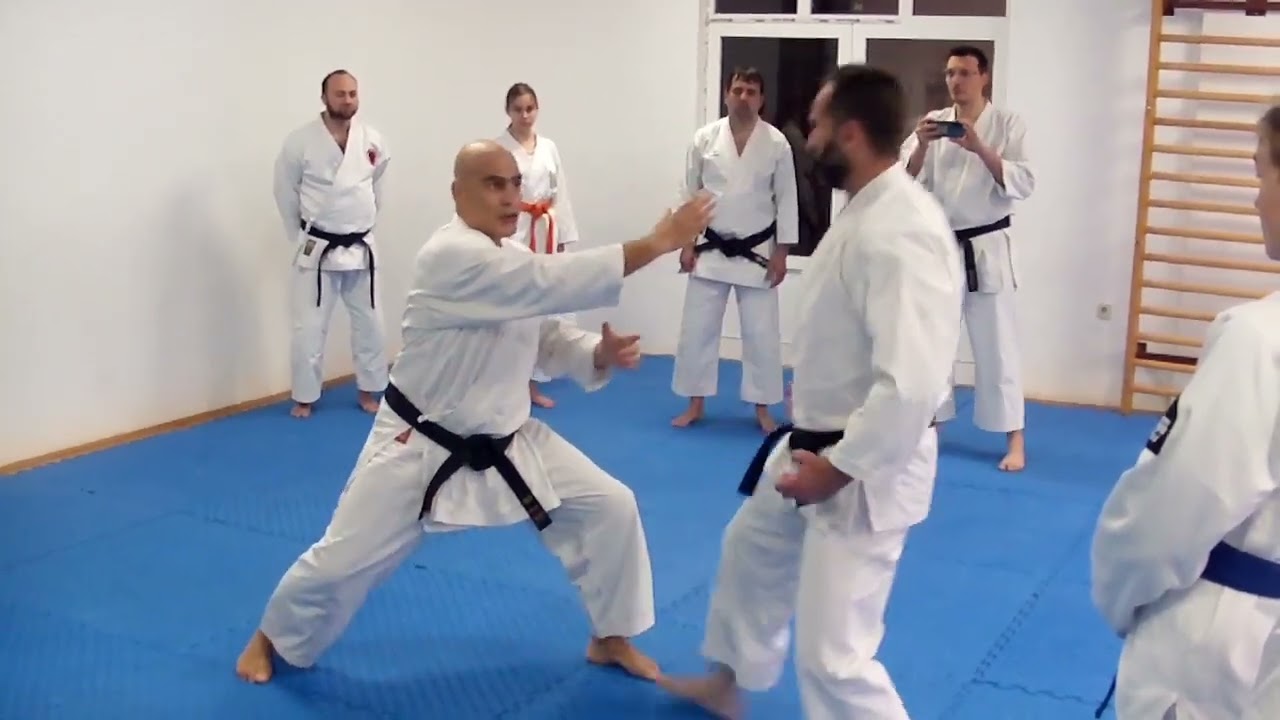 Sensei Milan Đokić i Sensei Miloš G.Stojanović - 23.11.2025.
