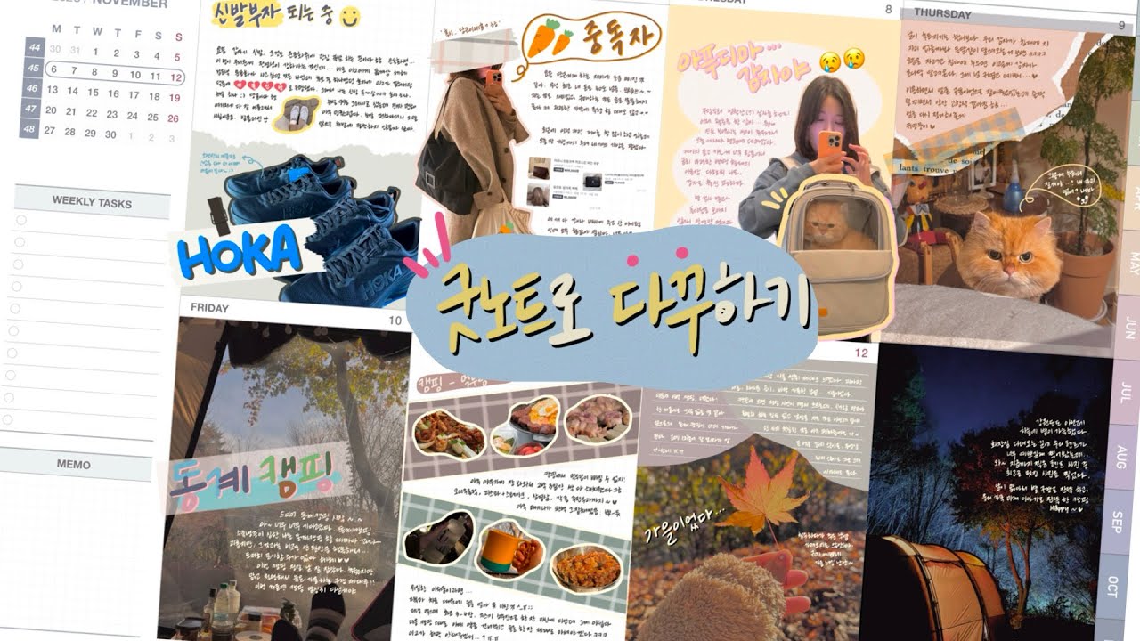 아이패드 굿노트 다꾸(2023.11.6.-11.12.)ㅣ위클리ㅣ아이패드로 다이어리 꾸미기 누구나 할 수 있어요!