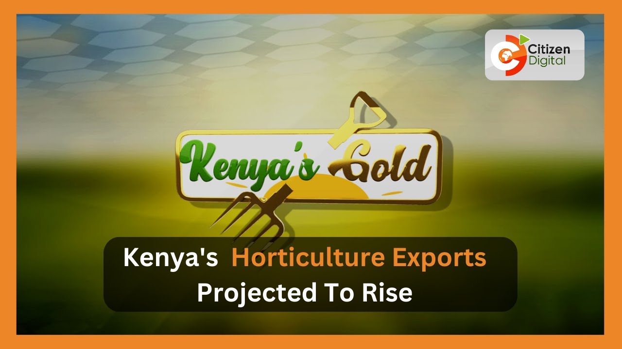 | Kenya's Gold | Kenya's horticulture exports projected to rise (Part 1)
