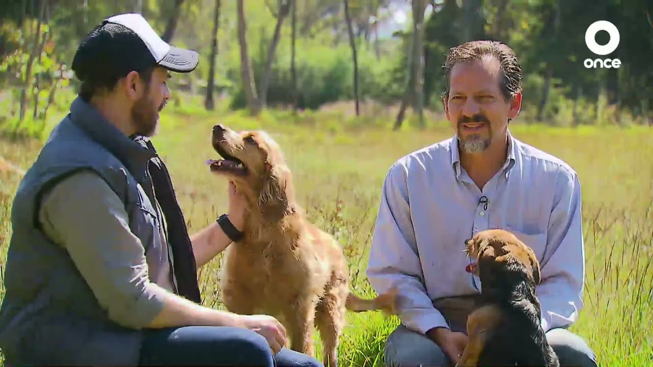 A + A - Refugio Franciscano (03/12/2022)