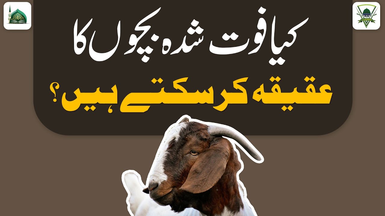 Kya Bache Ke Marne Ke Baad Uska Aqeeqa Kiya Jaa Sakta Hai? | Darulifta Ahlesunnat