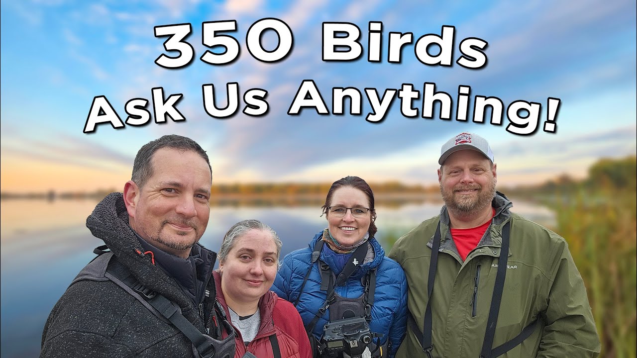 How We Saw 350 Birds In One Year: YOUR Questions Answered