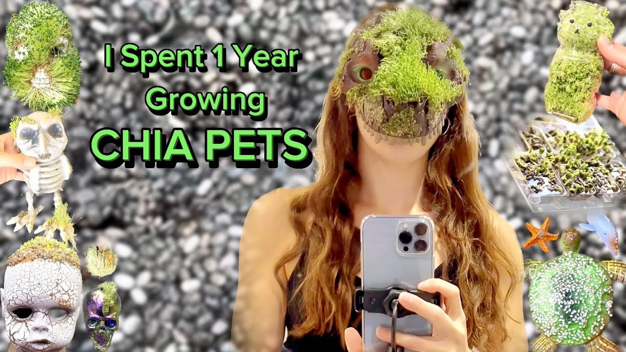 I Spent 1 Year Growing Chia Pets