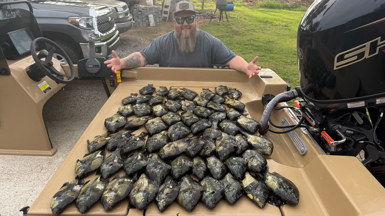 Insane Day of Fishing in South Carolina! Shellcracker and Shad - Catch, Clean, Cook