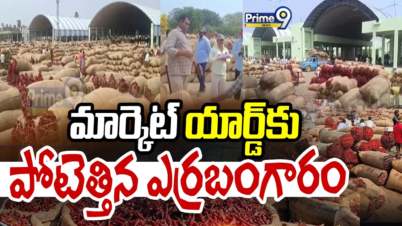 మార్కెట్ యార్డ్ కు పోటెత్తిన ఎర్రబంగారం | Enumamula Agricultural Market | Prime9 News