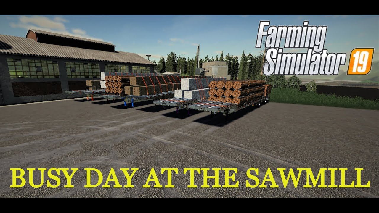RAMNA--FS19--SAWMILL OPERATION