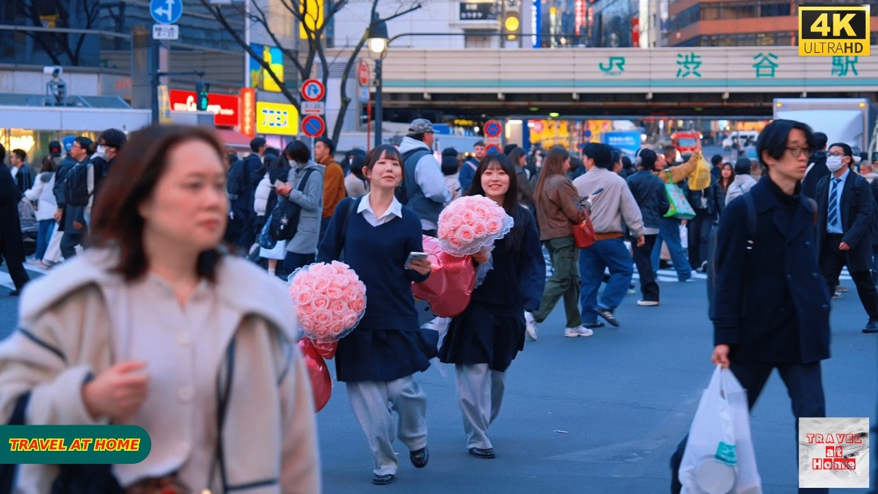 Podr&oacute;ż do Japonii w 4K HDR 2026 | Spacer po Shibuya (渋谷) w Tokio w Japonii | Relaksująca, naturalna atmosfera miasta