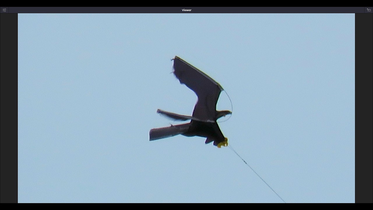 Bird Scarer Hawk Kite