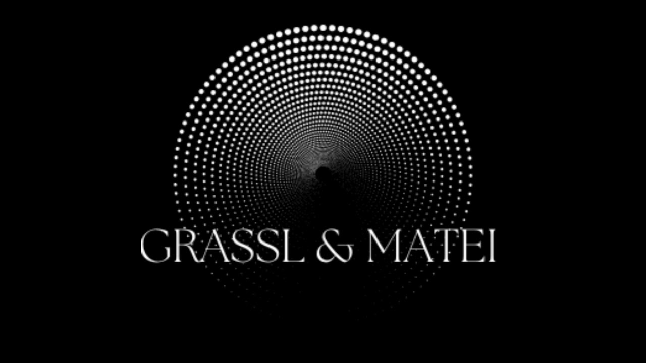 Lobbyismus oder Politikvertretung? - Als Creator im EU Parlament - Grassl & Matei #097