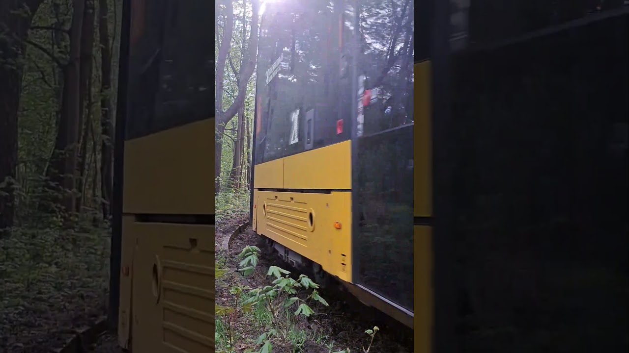 Pesa Jazz 134n wjeżdża na pętle Boernerowo