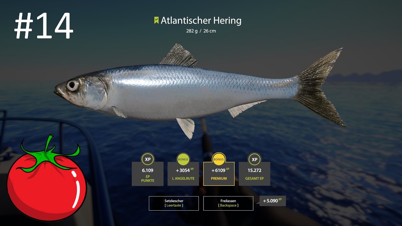 600 Silber/h auf 34m | Russian Fishing 4 #14