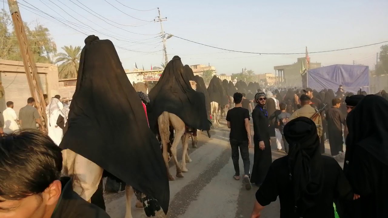 موكب ضعن زينب المفجوعه من أهالي الناصريه.. في قضاء البطحاء ١٤/محرم ١٤٤١ ه