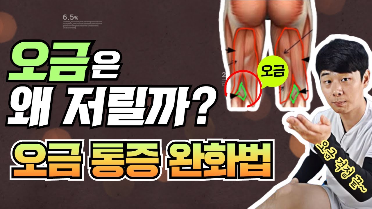 오금통증 원인과 해결방법 | 물리치료사 PT 재석