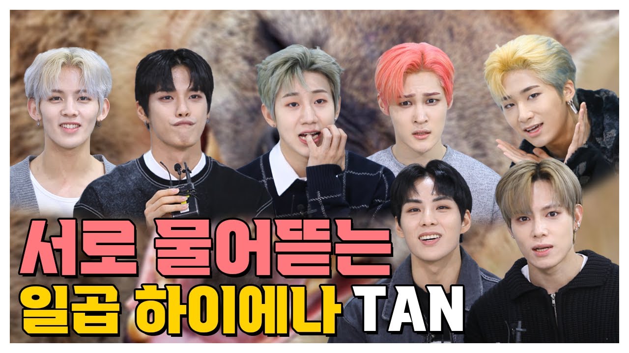 (SUB) | [팬바타 엔터] 서로 물어뜯는 일곱 하이에나 TAN l 티에이엔 (TAN) 인터뷰