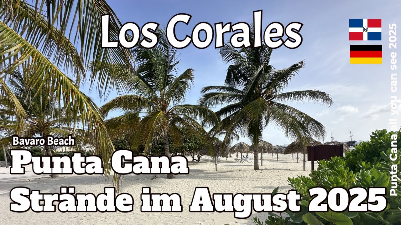 Braunalgen Desaster oder nicht  Los Corales Strand  - Punta Cana 2025