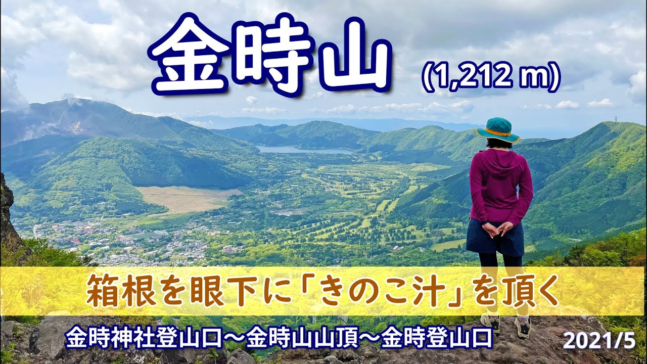 【金時山】箱根を眼下に「きのこ汁」を頂く （金時神社登山口～金時山山頂～金時登山口）
