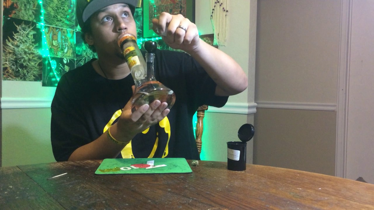 559 Organics Gorilla Glue #4 Strain Review