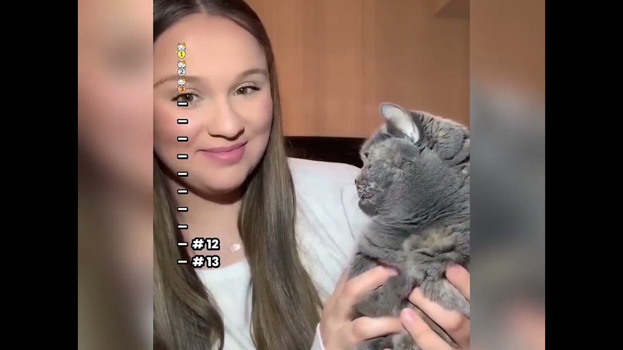 🤣👌👌👌2026 pov Must-Watch Crazy Clips Compilation #humor #interesting #pov #fyp #foryou 😍😜