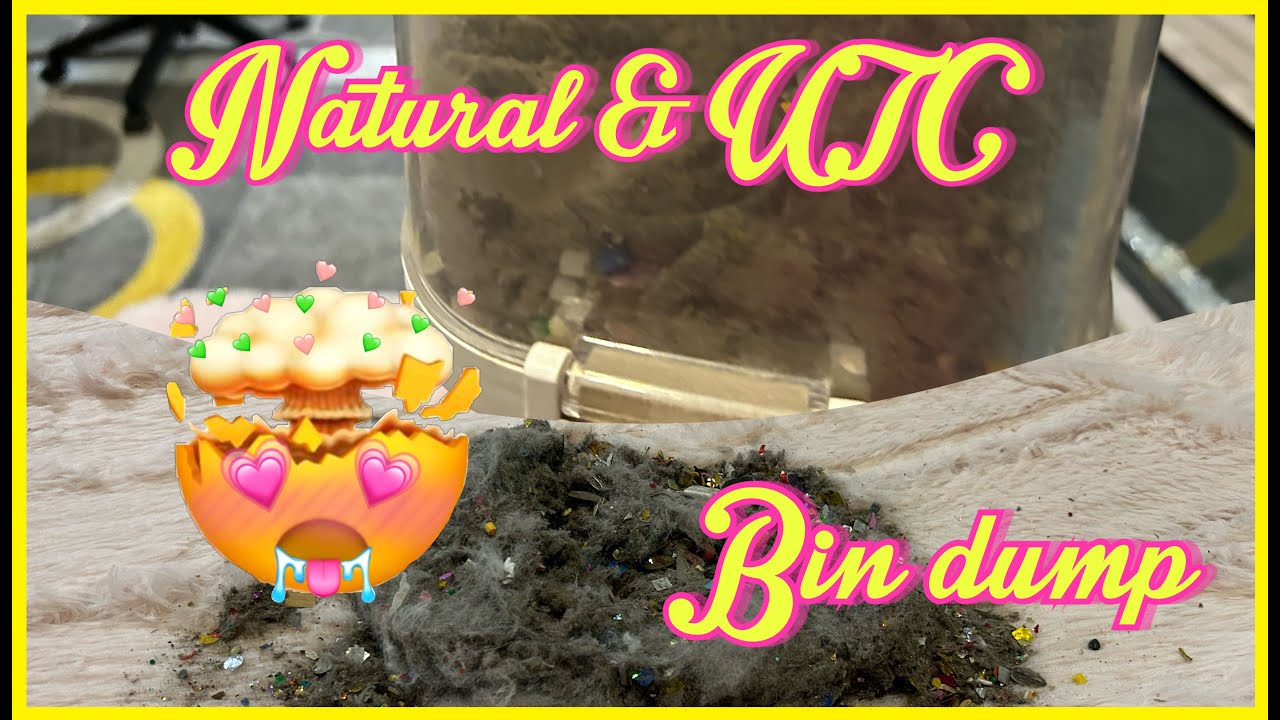 Natural & UTC cleaning | bin dump | Great White Shark 🦈