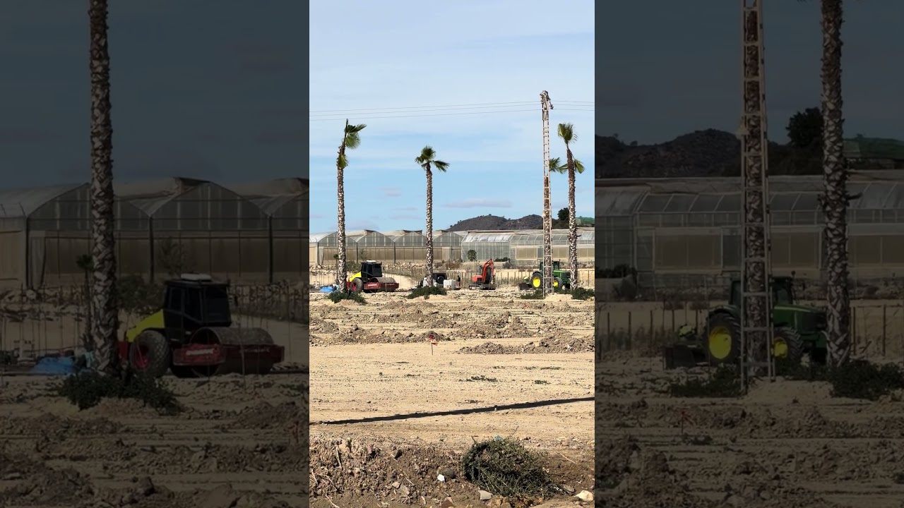 NIX NEUER Stellplatz in Mazarron im Oktober 2025 🙈# Mazarron #stellplatz #wirsindcamper