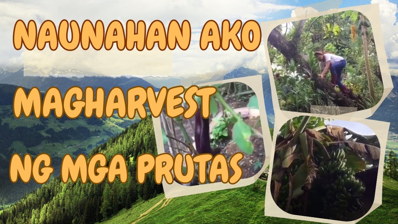 FRUITS & VEGGIES PICKING DAY IN MY LIFE || Trip na trip ni Miel