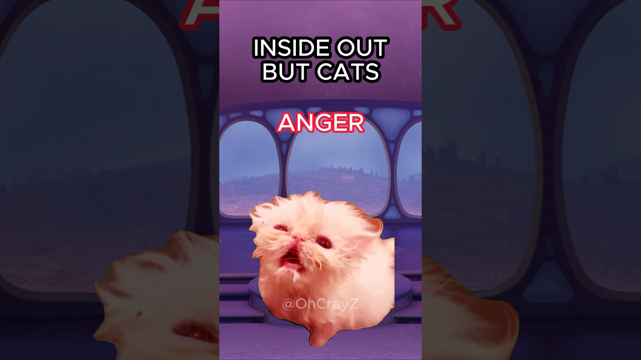 CAT MEMES 🐱 INSIDE OUT BUT CATS #cat #catlover #catvideos #insideout #shorts