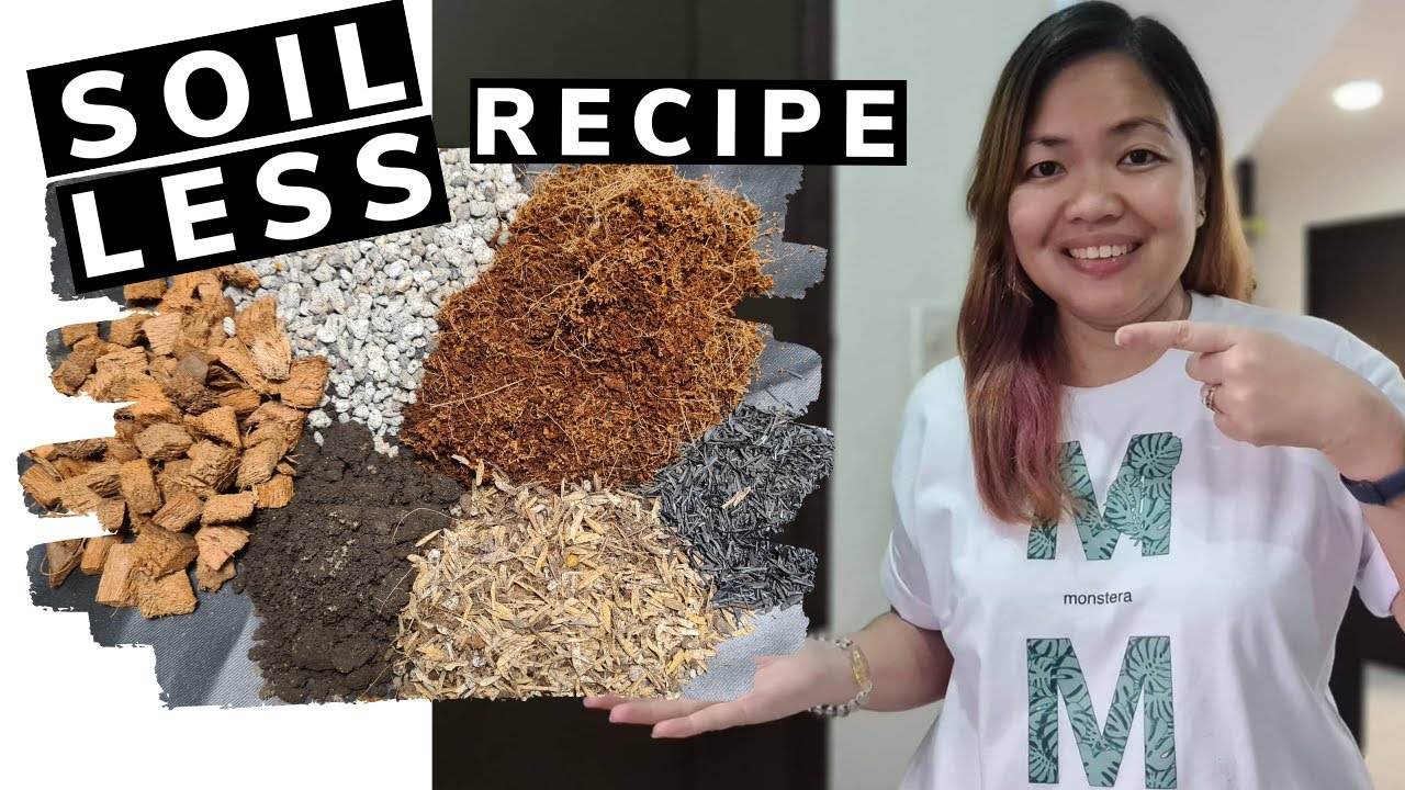 BEST POTTING MIXTURE FOR PLANTS (SOILLESS) | SOILLESS POTTING MIX RECIPE 🍀