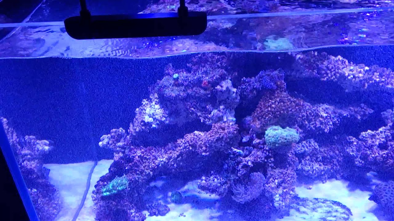 How to stop micro bubbles!