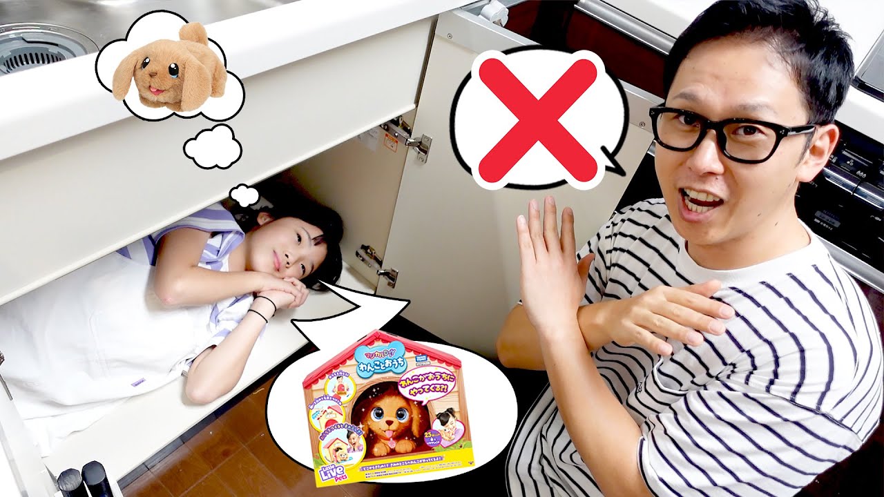 【寸劇】わんことおうちを今すぐ作りたい！なんで誕生日プレゼントを夜まで開けちゃだめなの？　#にじうさチャンネル
