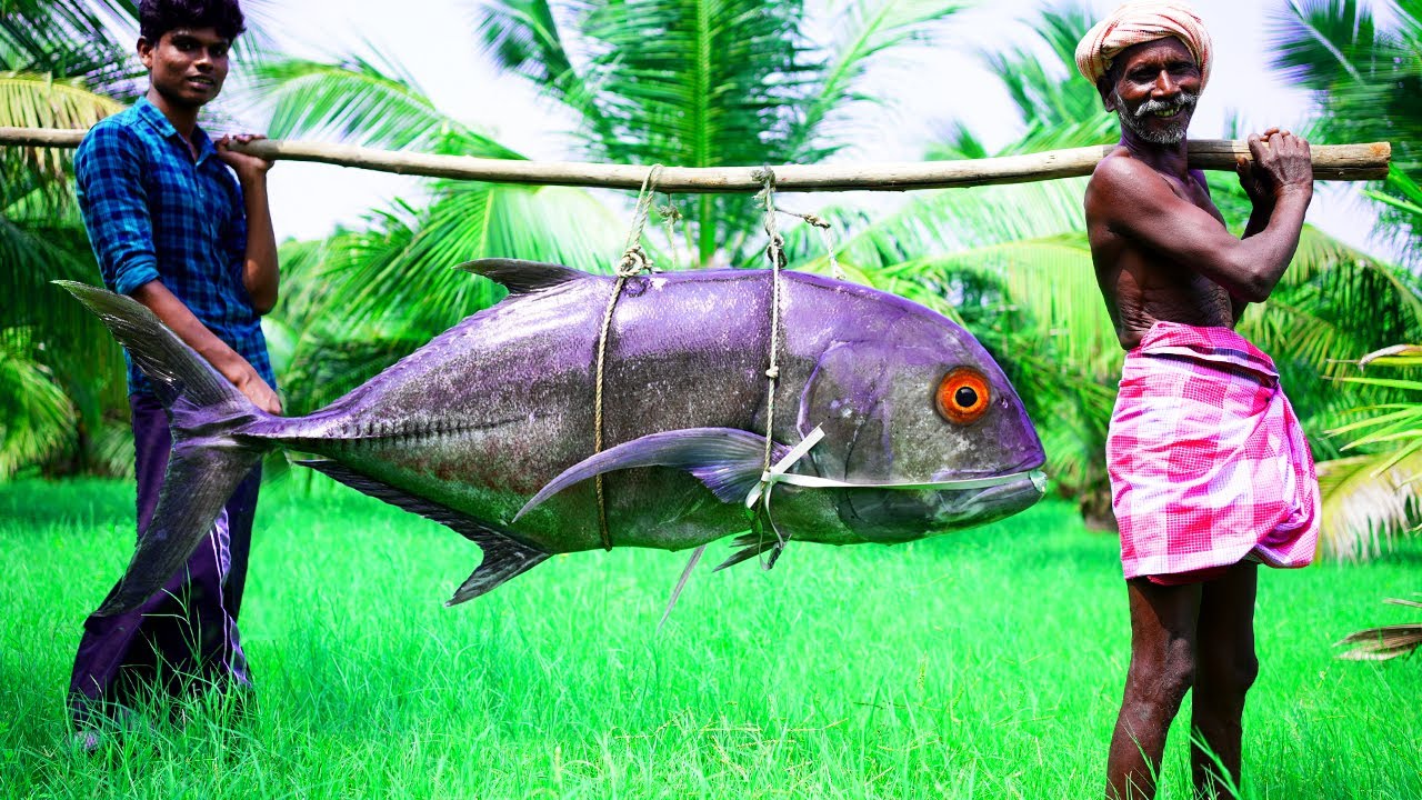 40kg GIANT TREVALLY FISH PEPPER FRY RECIPE | Delicious Big Fish Cooking and Cutting |Village Grandpa
