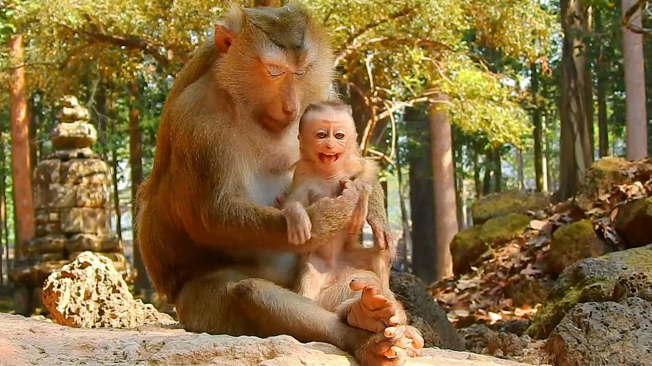 Rina get mad coz mom plan to reduce breastfeeding, Rina doesnt want mom stop her milk coz isn't full