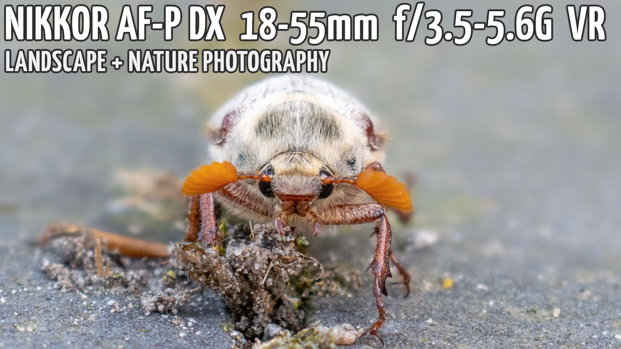 Nikon d5300 + Nikkor AF-P DX 18-55mm f/3.5-5.6G VR - nature + landscape photography