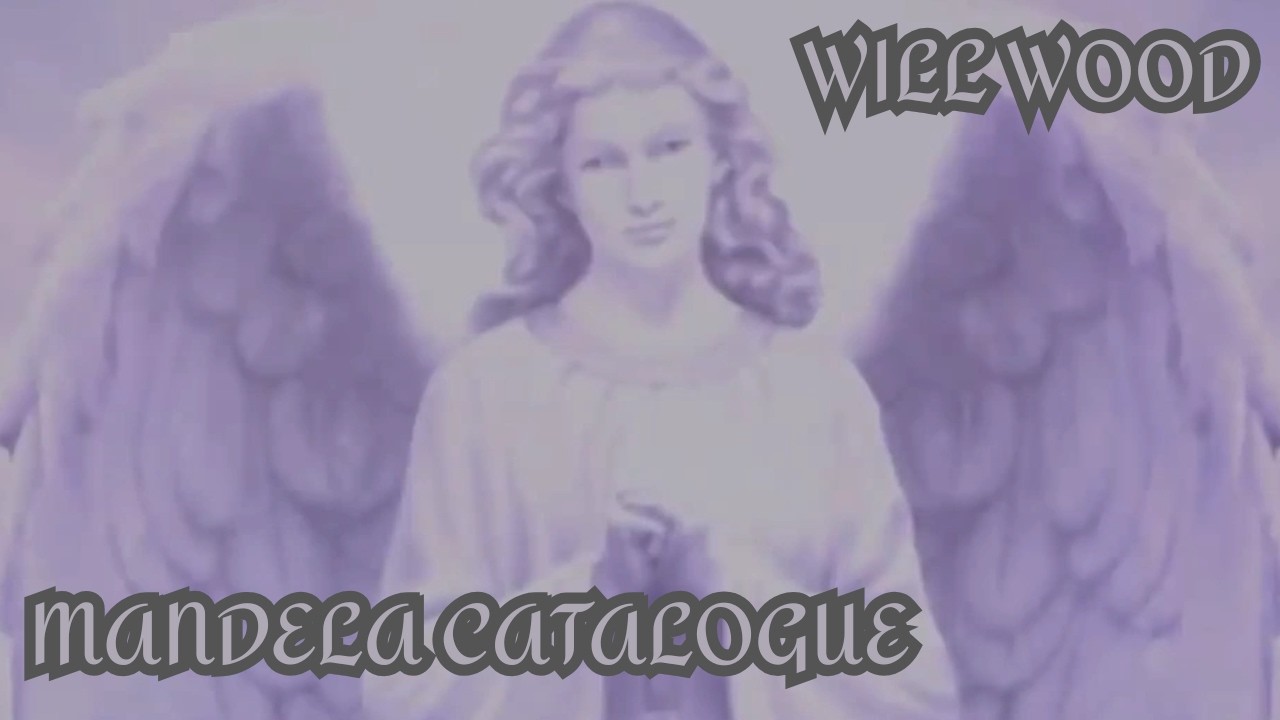 MANDELA CATALOGUE X WILL WOOD EDIT (THE SONG WITH 5 NAMES X ALT GABRIEL)