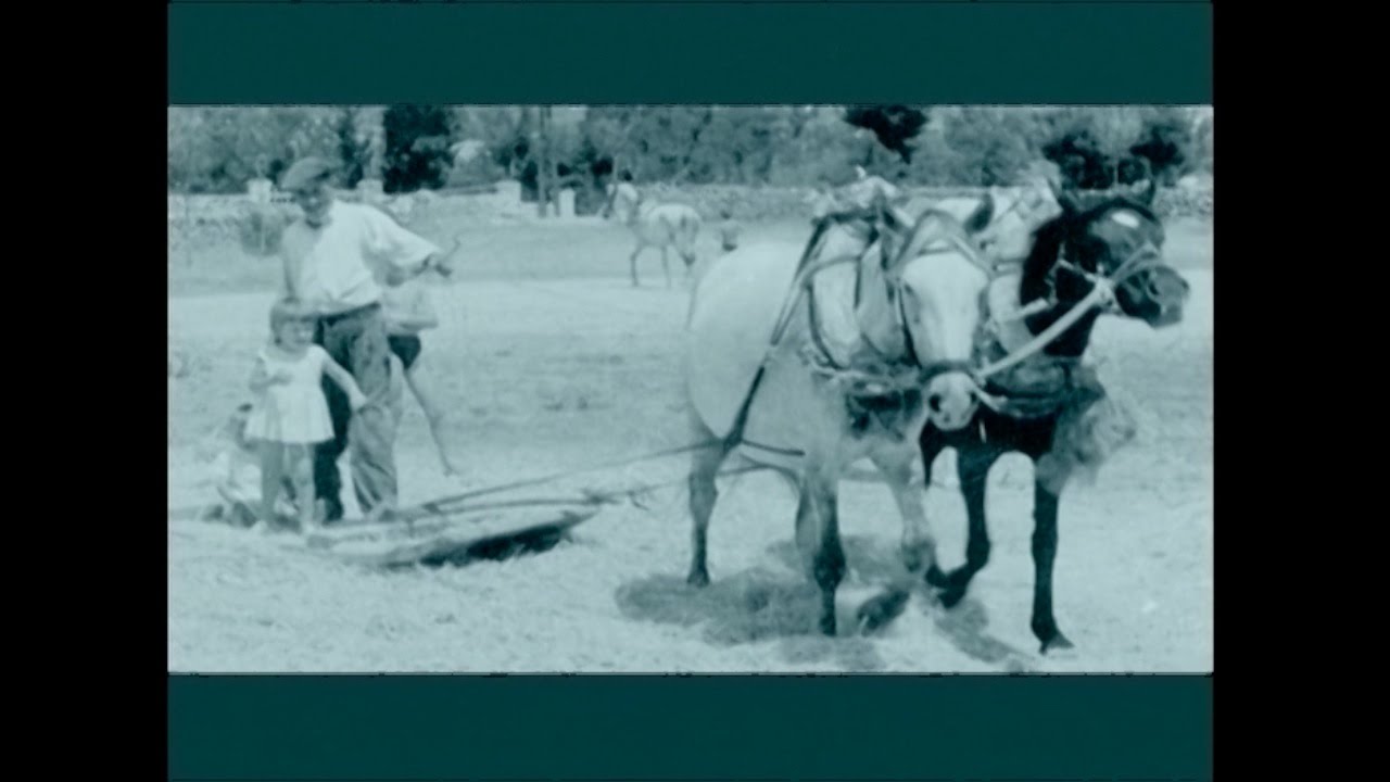 Antiguas profesiones y costumbres de la Sierra de Madrid, Navacerrada | GeneracionNatura.org