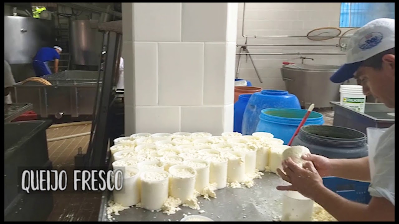 Queijos artesanais - Visita a Fábrica de Queijos Roni