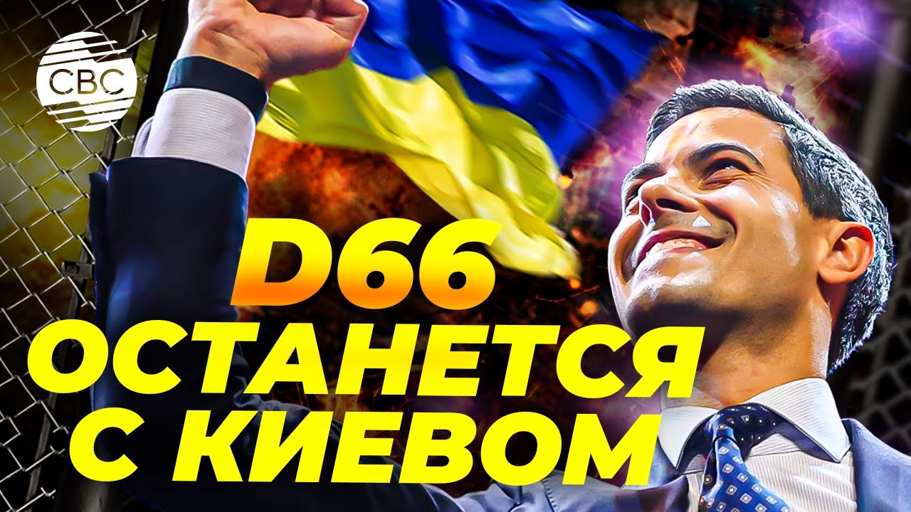 Нидерланды делают ставку на либералов: что это значит для Украины?